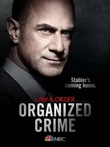Закон и порядок: Организованная преступность (2 сезон) смотреть онлайн