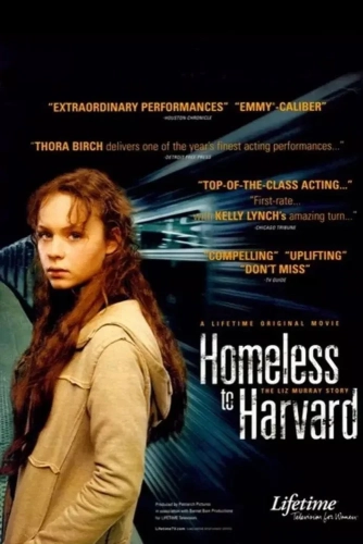Гарвардский бомж (2003) смотреть онлайн