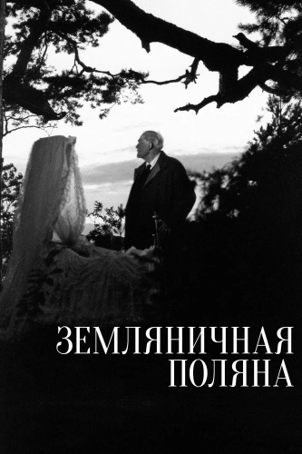 Земляничная поляна (1957) смотреть онлайн