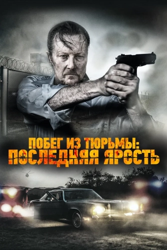 Последняя ярость (2017) смотреть онлайн
