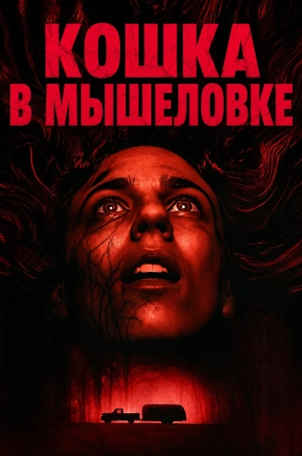 Кошка в мышеловке (2025) смотреть онлайн