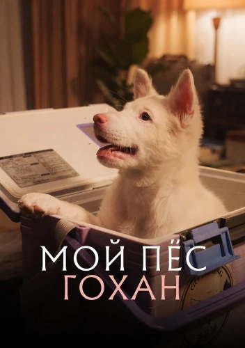 Мой пёс Гохан (2026) смотреть онлайн