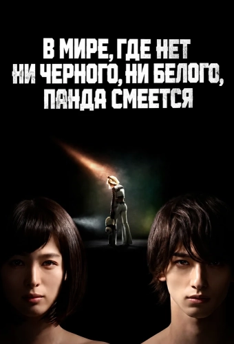 В мире, где нет ни черного, ни белого, панда смеется (2020) смотреть онлайн