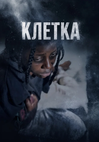 Клетка (2024) смотреть онлайн