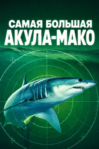 Самая большая акула-мако (2026) смотреть онлайн