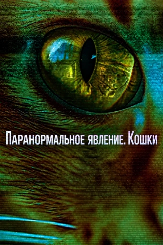 Паранормальное явление. Кошки (2026) смотреть онлайн