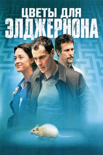 Цветы для Элджернона (2006) смотреть онлайн